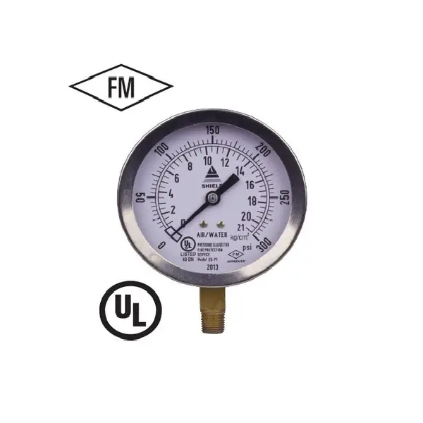 Pressure Gauge